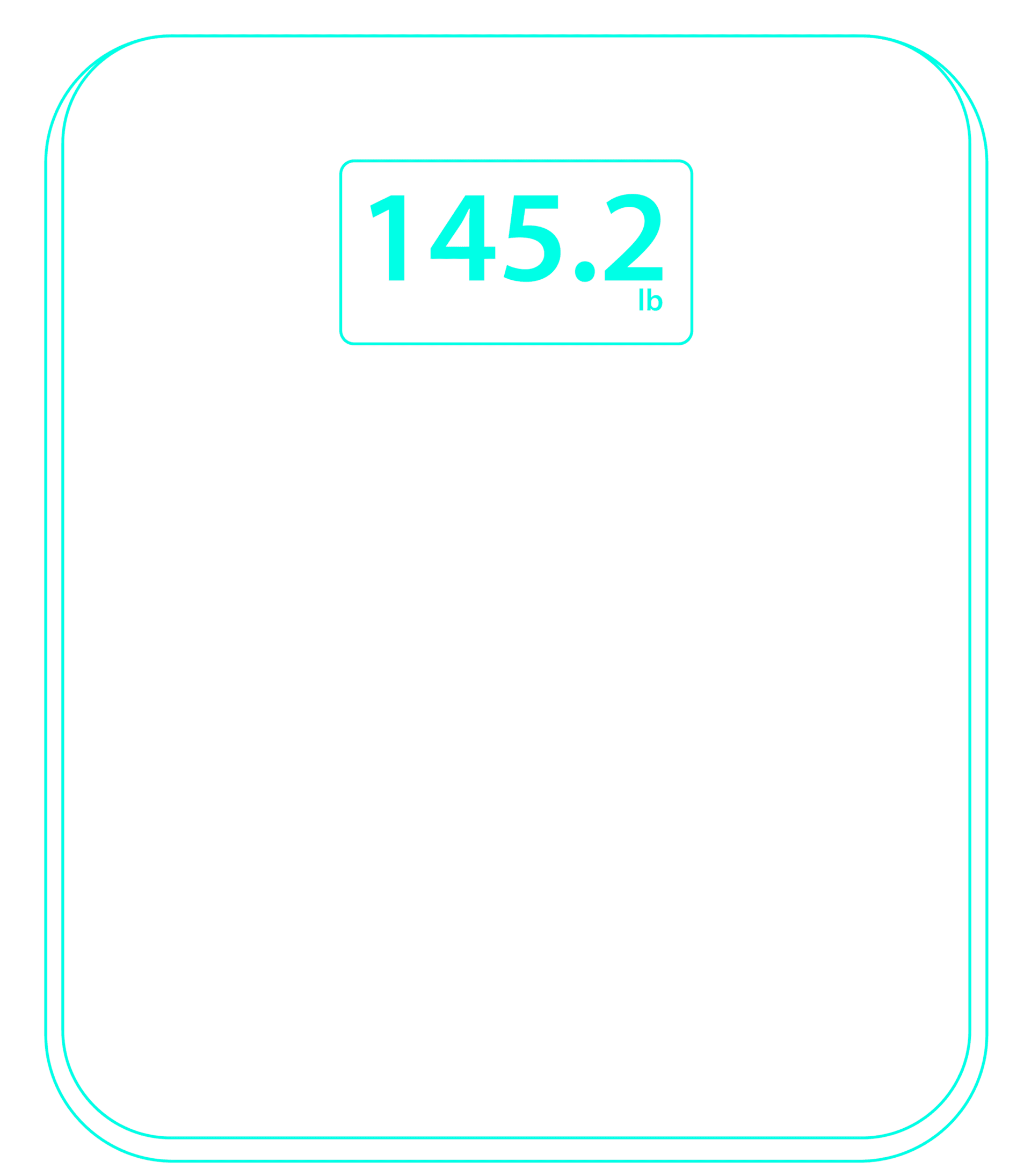 section img
