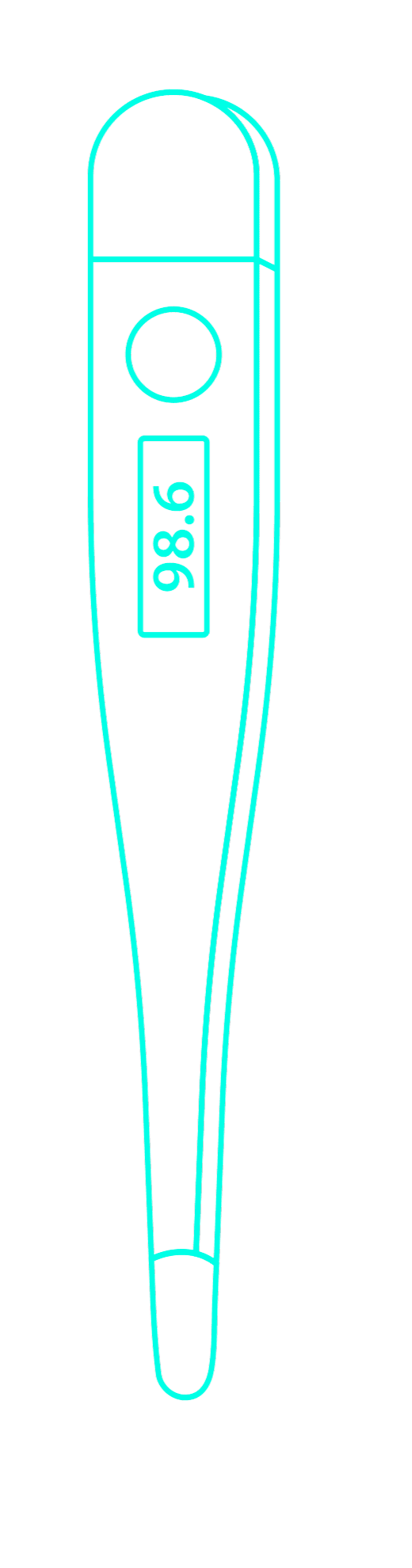 section img